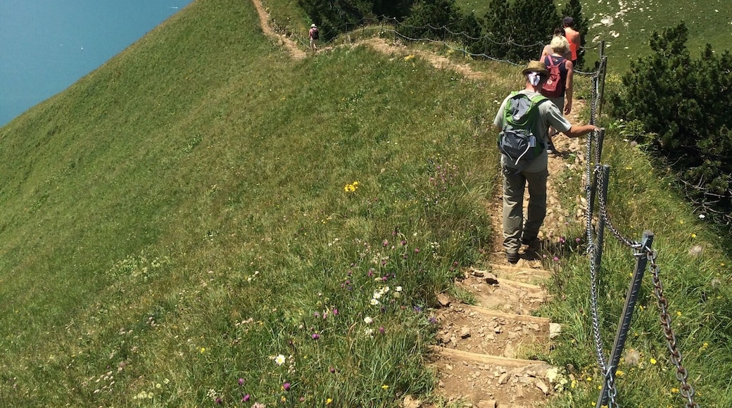 There is a great 5k mountain hike from Klingenstock to Fronalpstock. During the 2 hour hike you have a pretty much uninterrupted 360 degree view of the lakes, valleys, and peaks in the Lake Lucern area in Switzerland.