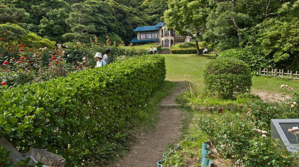 Literature Museum, rose garden and lawn