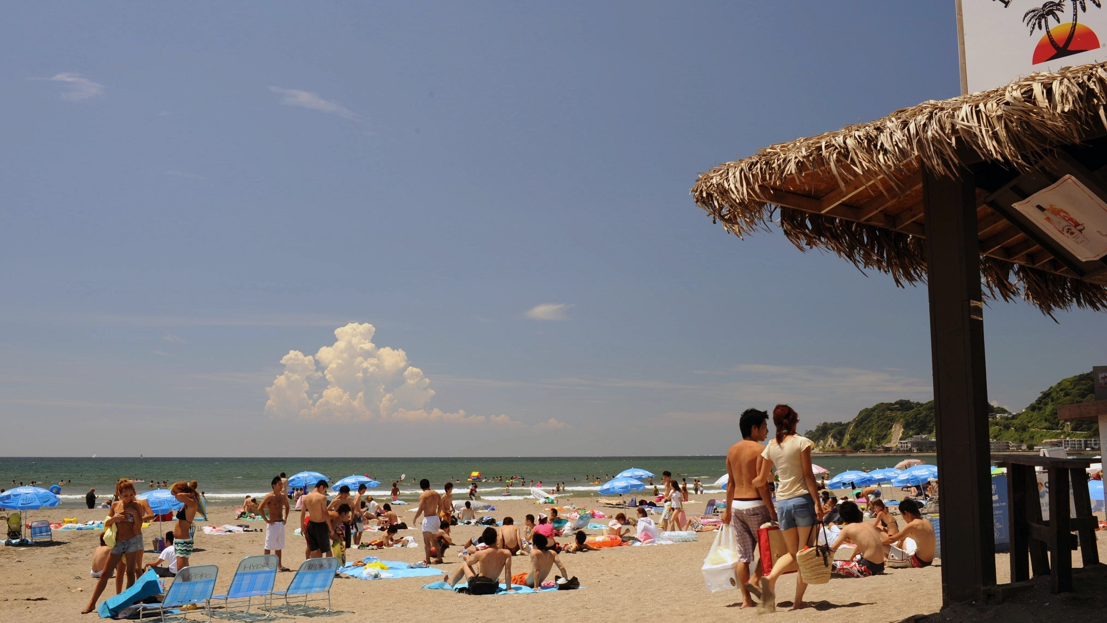 Kamakura featuring general coastal views and a sandy beach as well as a large group of people