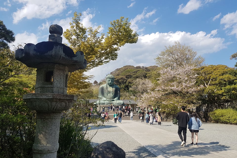 Une grande statue de Bouddha dans un parc, entourée de cerisiers en fleurs et d’une lanterne en pierre.