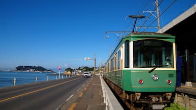 Un tranvía verde en una estación junto al mar, con cielo despejado.