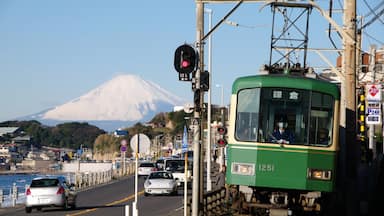 Un train vert portant le numéro 1251 s’approche d’un feu de signalisation, avec une voiture devant et une montagne en arrière-plan.
