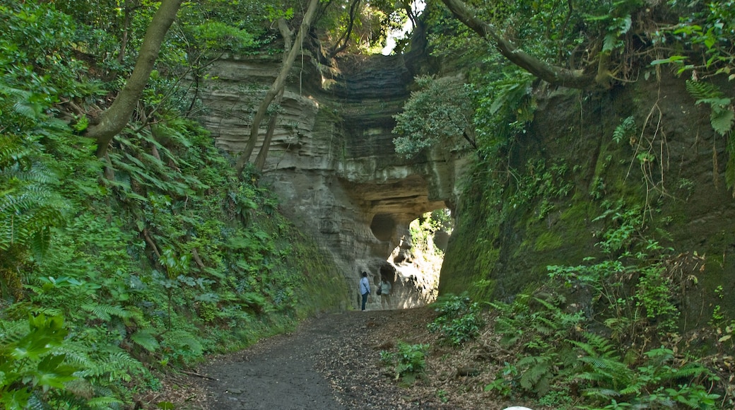Shakadōguchi Pass in Kamakura, Jōmyōji side. It was not one of Kamakura's Seven Passes, but because it was important and it's still spectacular to behold, I include it. Sometimes it is wrongly considered one of the seven.