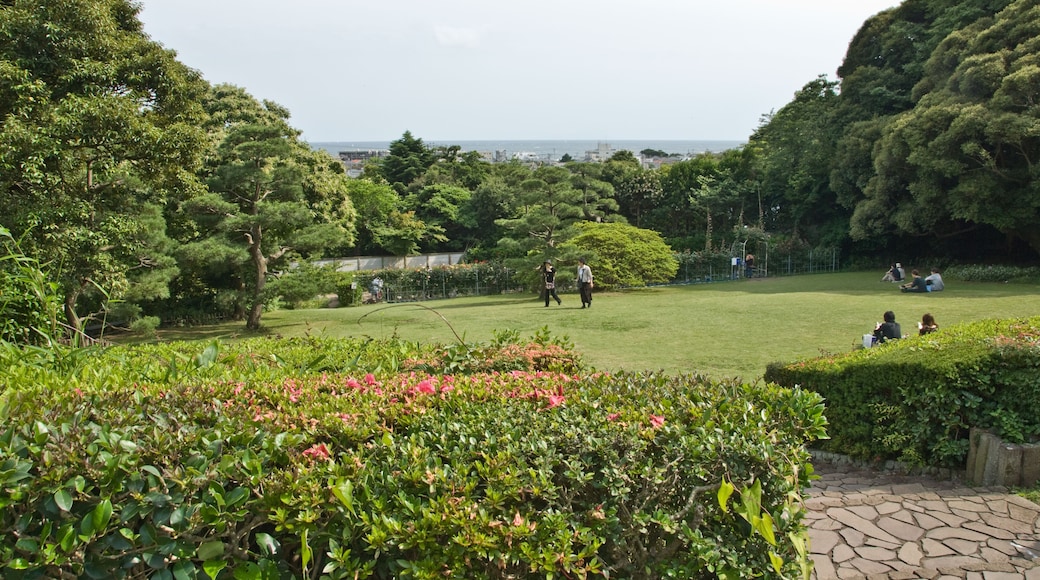 The garden of the Literature Museum in Kamakura