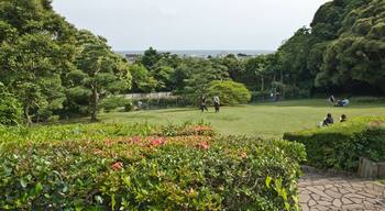 The garden of the Literature Museum in Kamakura