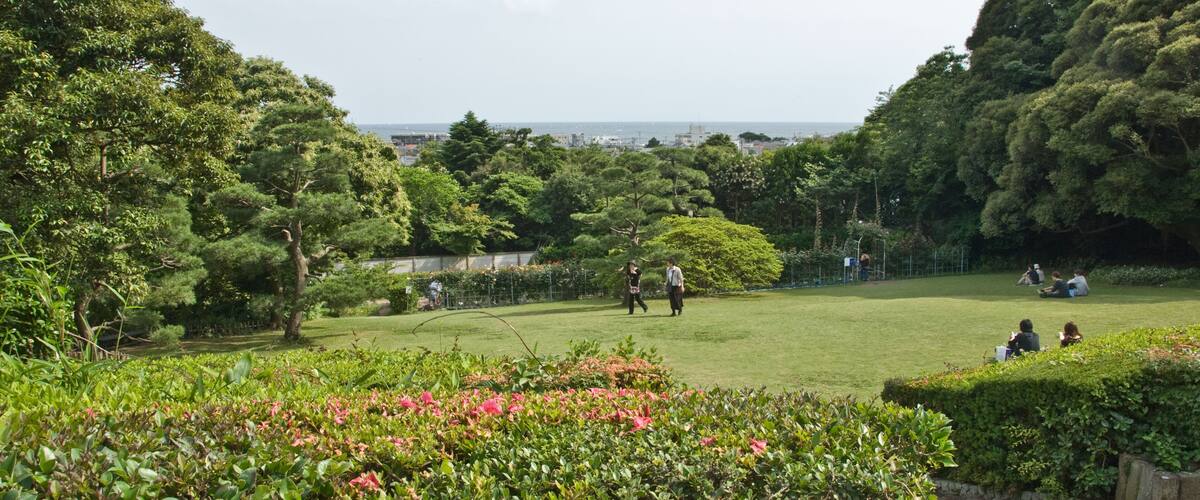 A lush park with green grass, pink flowers, and trees.