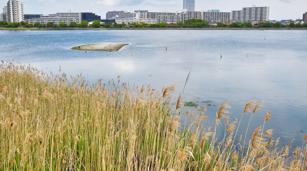 Narashino