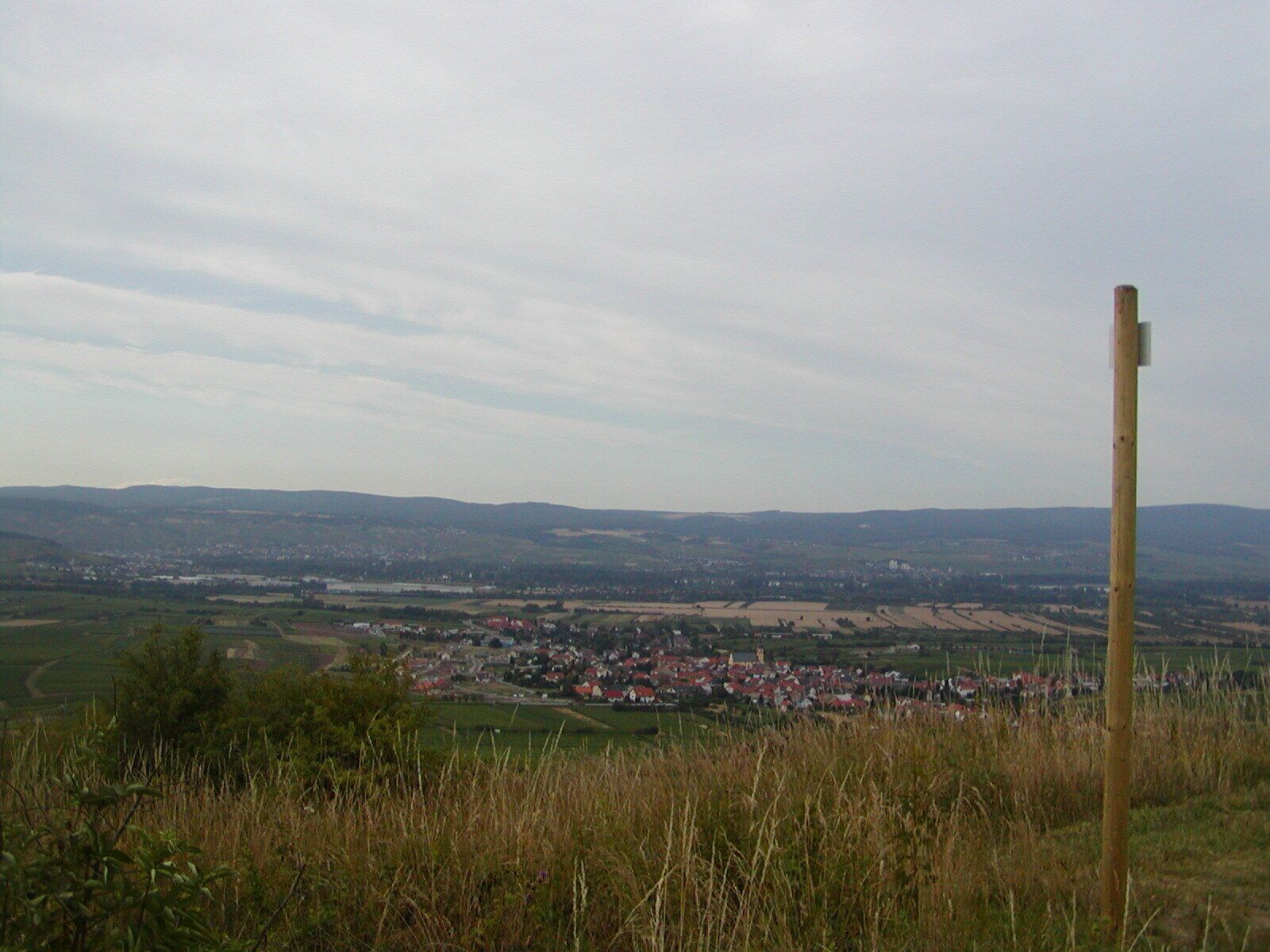 Rheinhessen - Blick auf Ockenheim von Laurenziberg aus