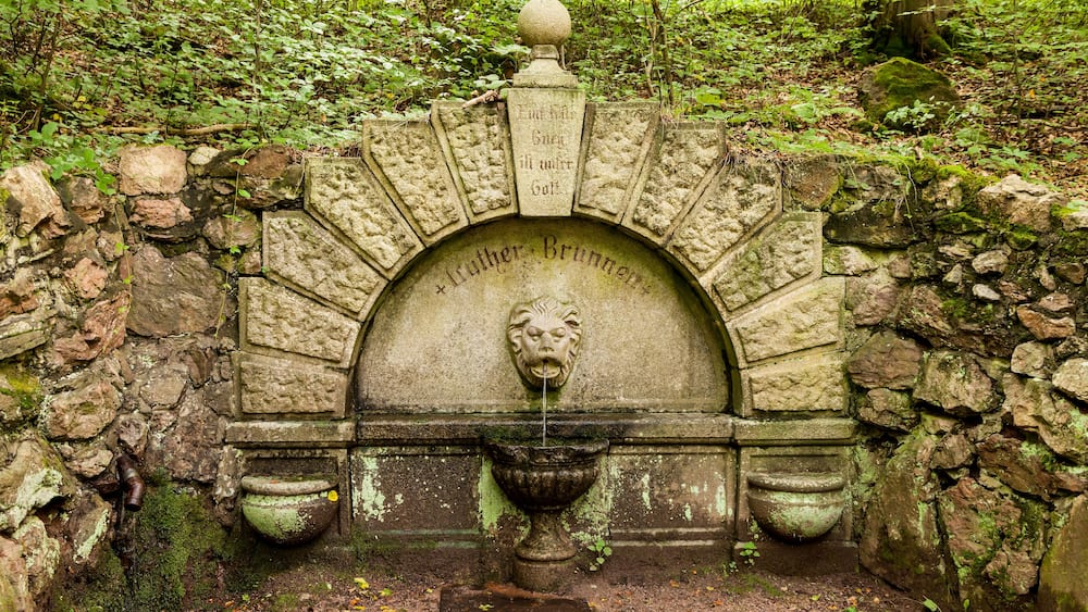 A stone fountain with a lion's head in the center, surrounded by moss-covered stones and a lush green forest.