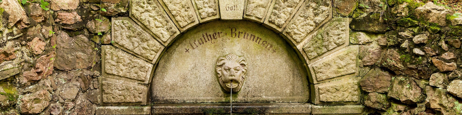 A stone fountain with a lion's head in the center, surrounded by moss-covered stones and a lush green forest.