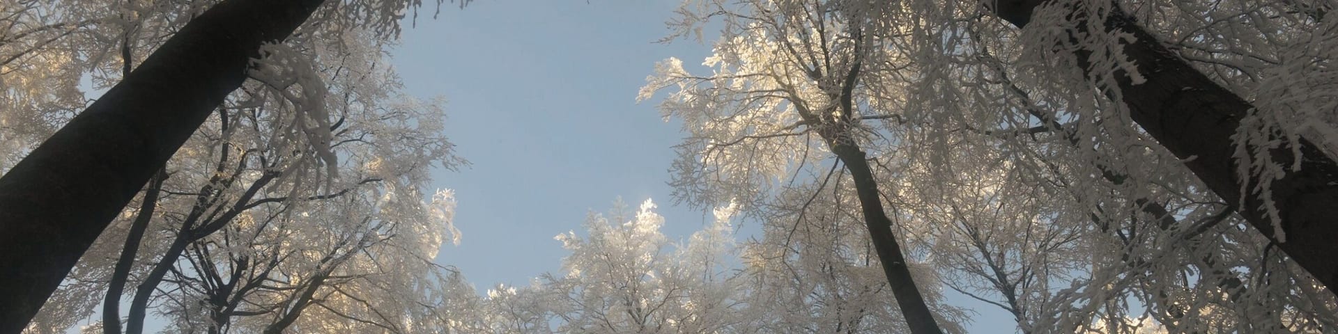 On a narrow footpath from Tabarz to the Grosser Inselsberg.