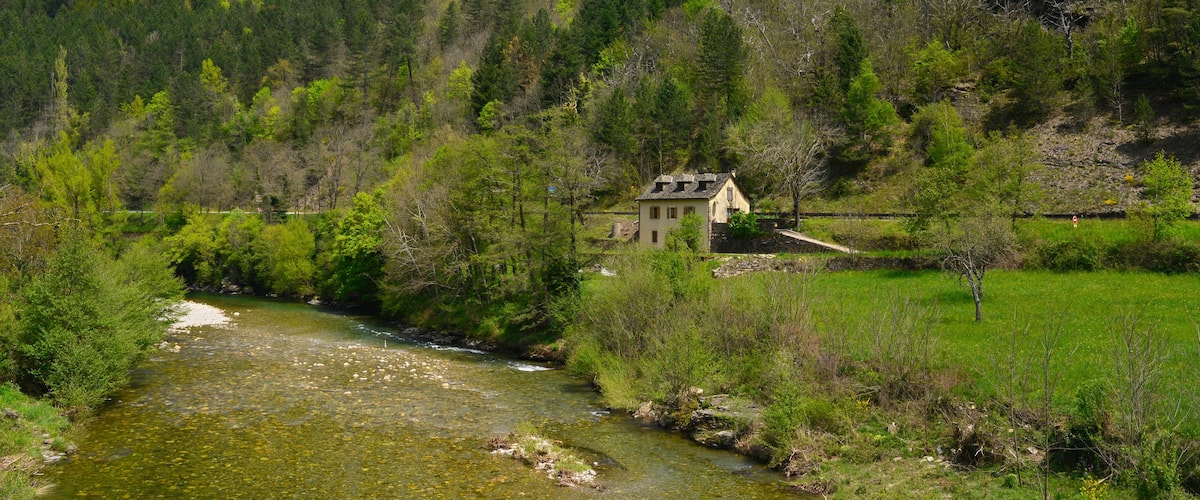 A house surrounded by lush greenery and a flowing river.
