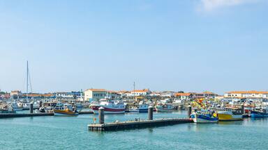 Panoramic view of the port and boats of La Cotiniere in Saint-Pierre-d'Oléron, France