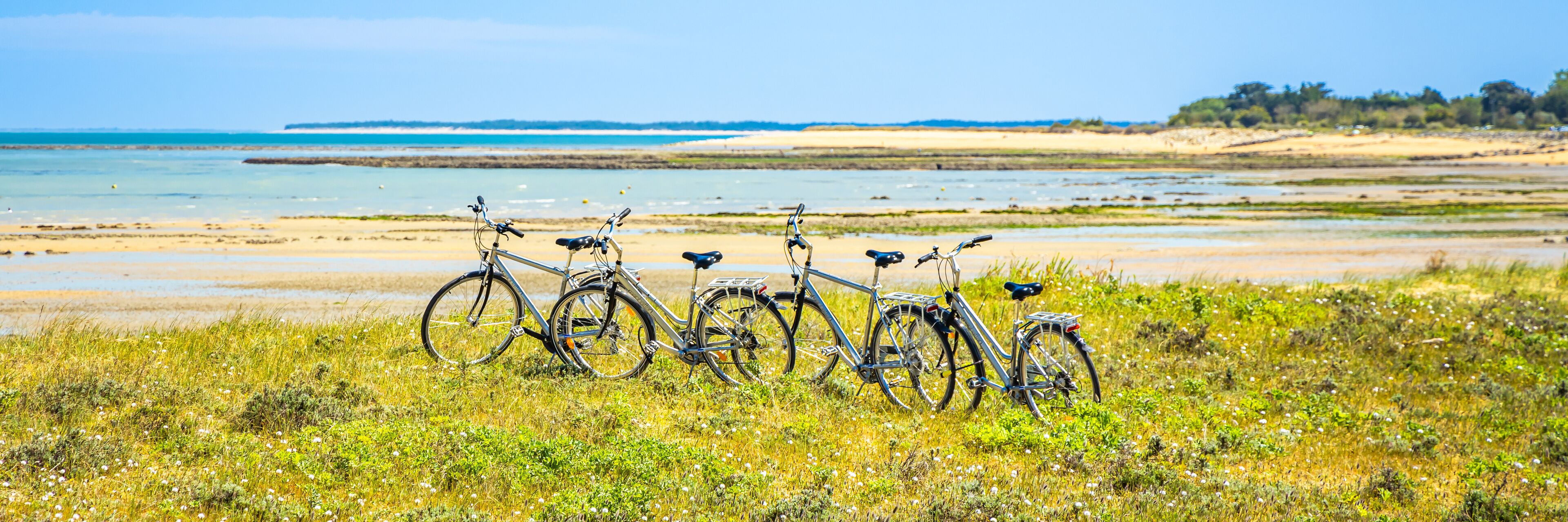 Saint Georges D Oleron