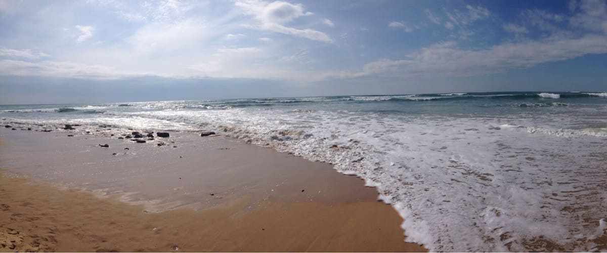 Beach and sea