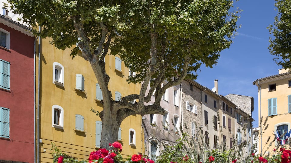 France, Provence, Lorgues: Park, trees, flowers and colorful house facades in the center of an old small French village