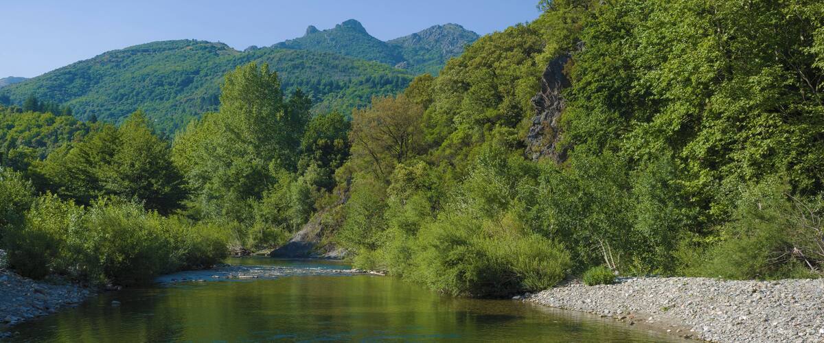 A river flowing through a forested valley with mountains in the background.