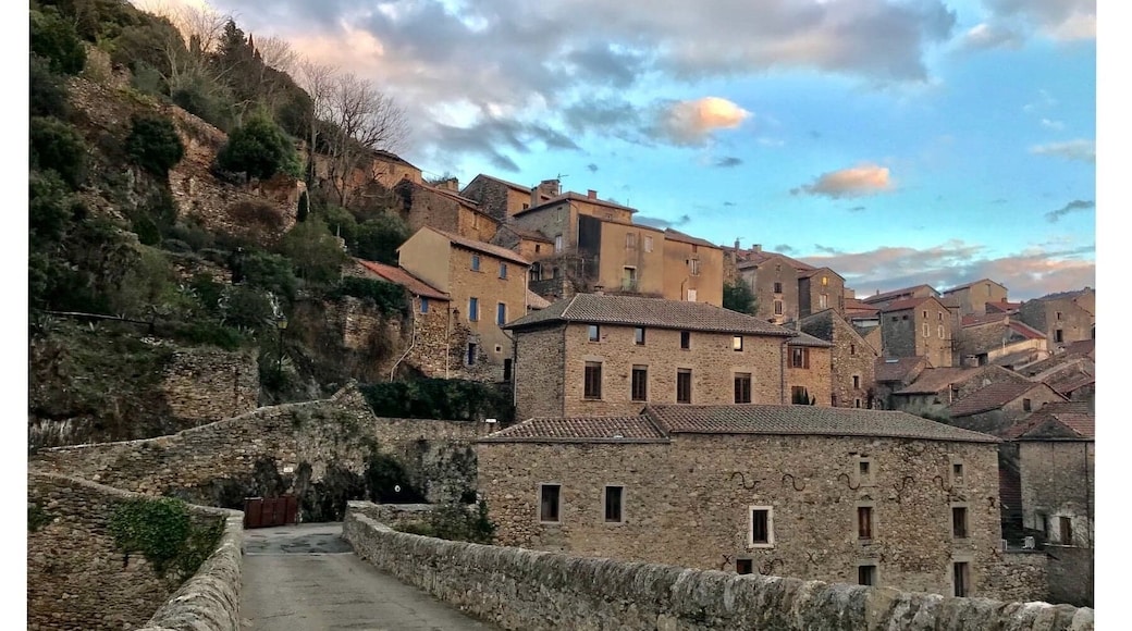 Picturesque Village of Olargues, France