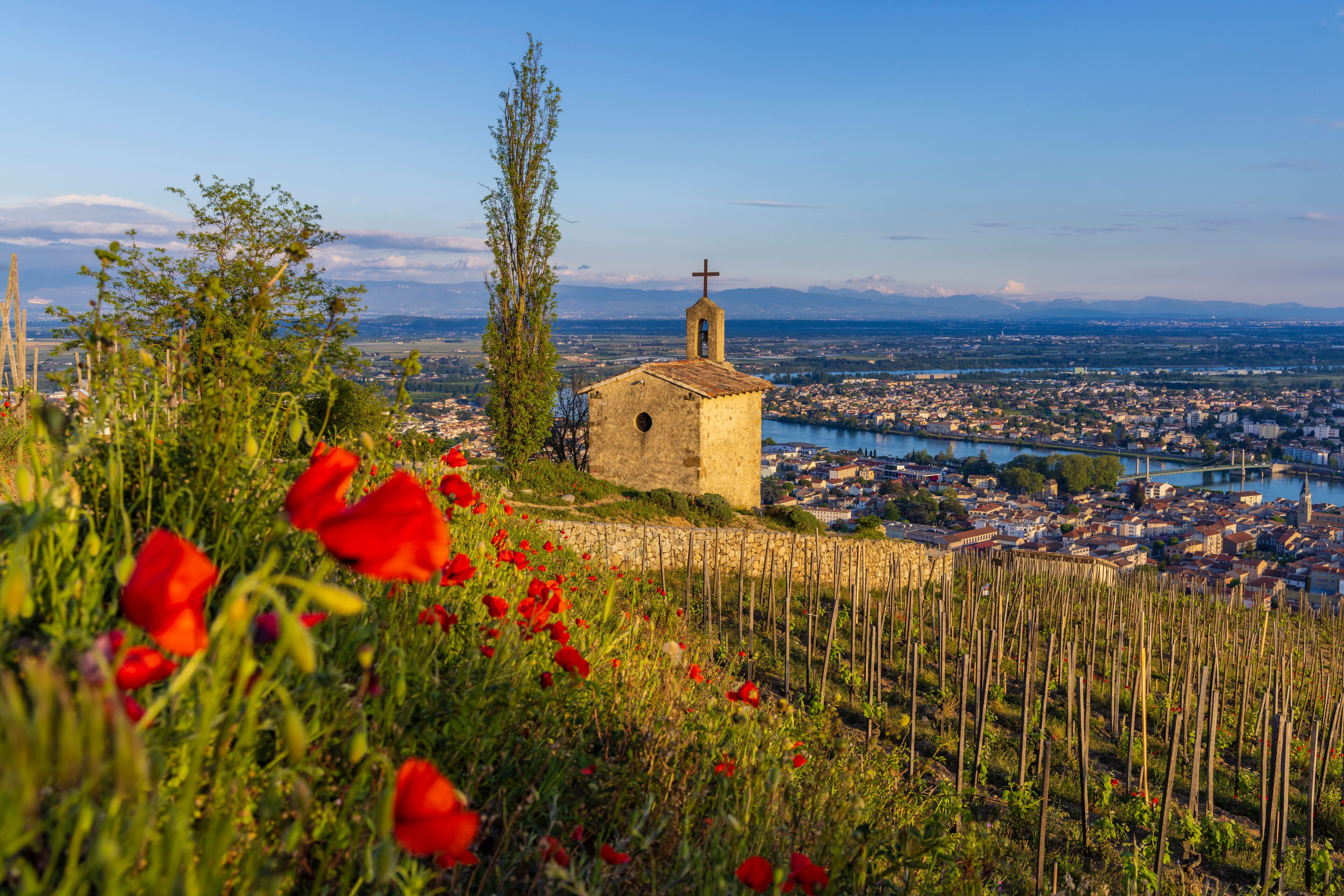 A small church with a bell tower, surrounded by red poppies and a river in the background.