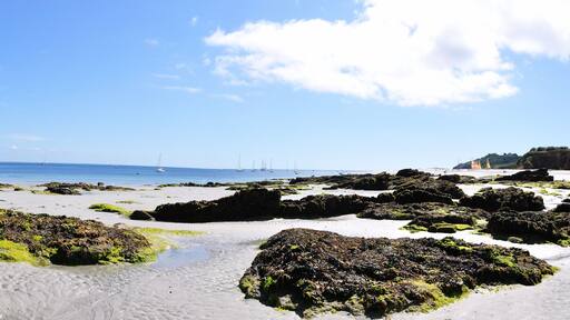 plage des grands sables 24
