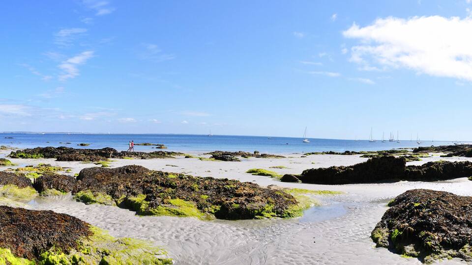 A rocky beach with seaweed, clear blue water, and distant boats.
