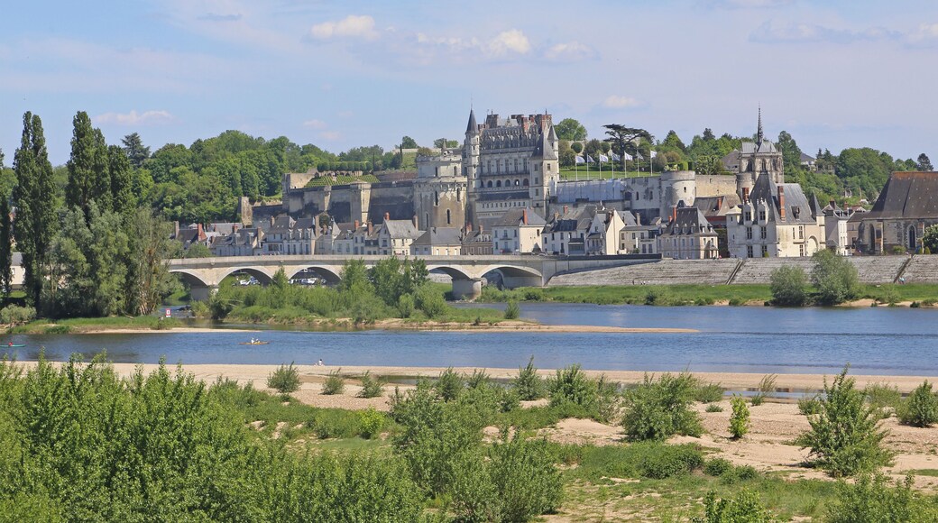 The town of Amboise on the Loire with the castle from the 15./16. Century.