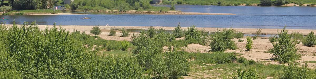 The town of Amboise on the Loire with the castle from the 15./16. Century.