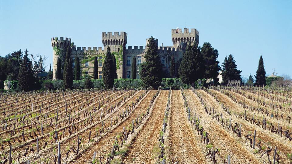 A vineyard in front of a castle with towers.