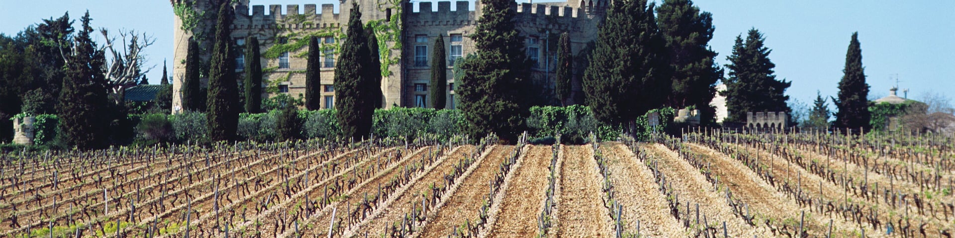 A vineyard in front of a castle with towers.