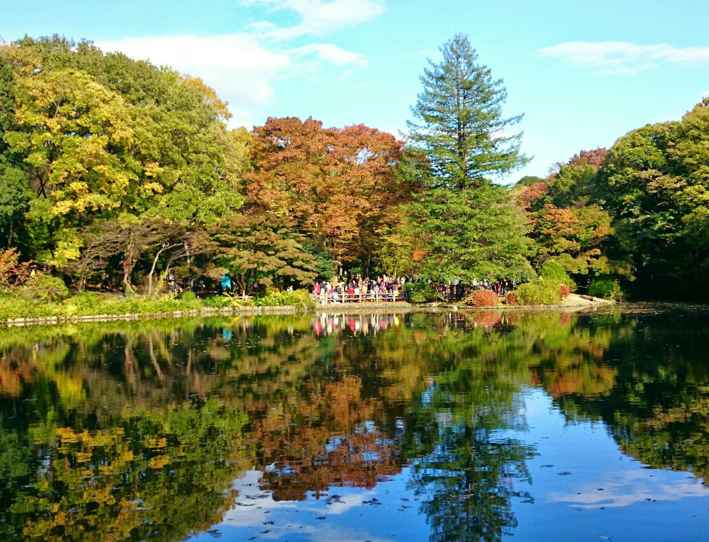 Hitachi Central Research Laboratory was established in 1942 by Namihei Odaira, founder of Hitachi. He gave specific instructions to avoid cutting the trees when building on the 207,000 sqm property. They currently open the gardens to the public twice a year (Apr/Nov).

More here: http://www.hitachi.com/rd/crl/nature.html