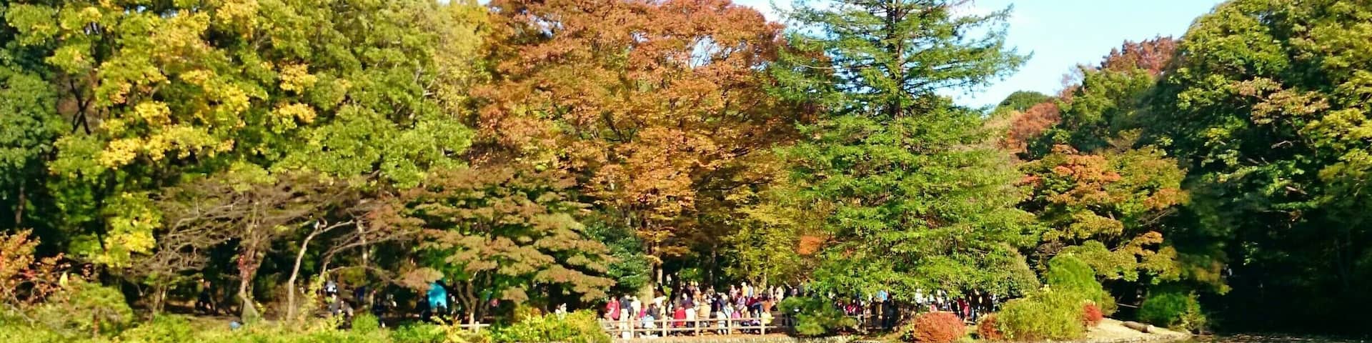 Hitachi Central Research Laboratory was established in 1942 by Namihei Odaira, founder of Hitachi. He gave specific instructions to avoid cutting the trees when building on the 207,000 sqm property. They currently open the gardens to the public twice a year (Apr/Nov).
More here: http://www.hitachi.com/rd/crl/nature.html