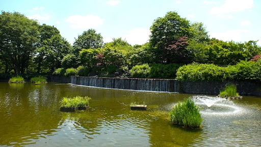 KOKUBUNJI, TOKYO, JAPAN - CIRCA JUNE 2018 : Scenery of MUSASHIKOKUBUNJI PARK in hot summer sunny day.