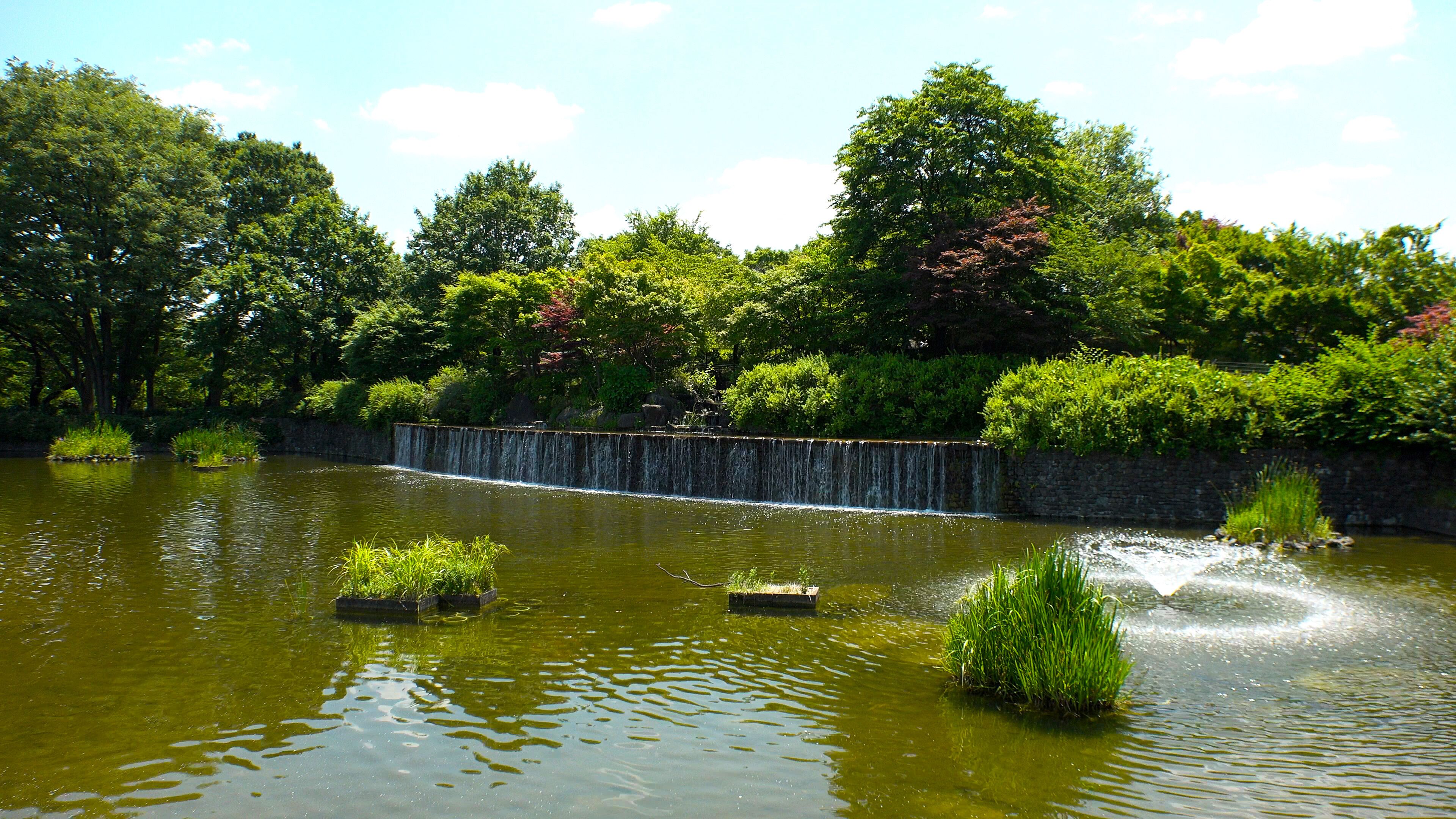 A calm pond with a small waterfall, surrounded by lush greenery and trees.