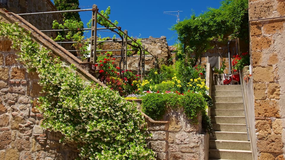 A stone staircase with a metal handrail, surrounded by lush greenery and colorful flowers.