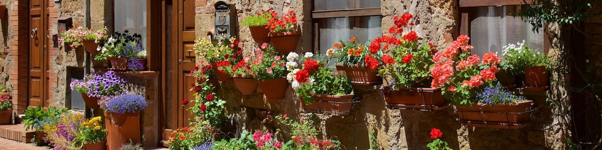 Ein rustikales Gebäude mit mehreren Blumentöpfen voller bunter Blumen.