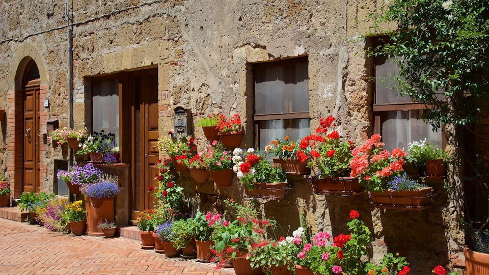 A rustic building with multiple flower pots filled with colorful flowers.