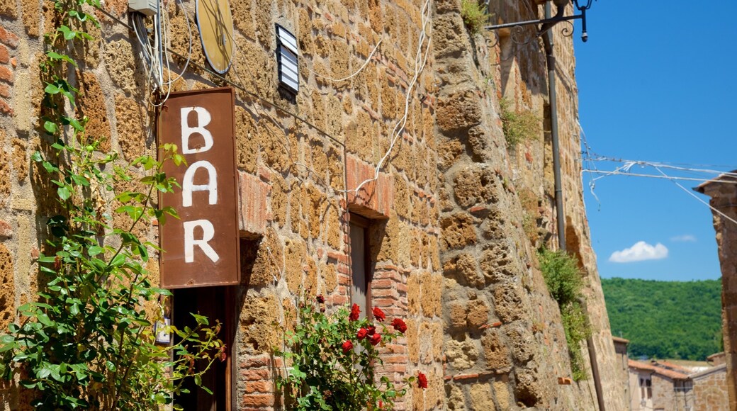 Sovana featuring heritage architecture and signage