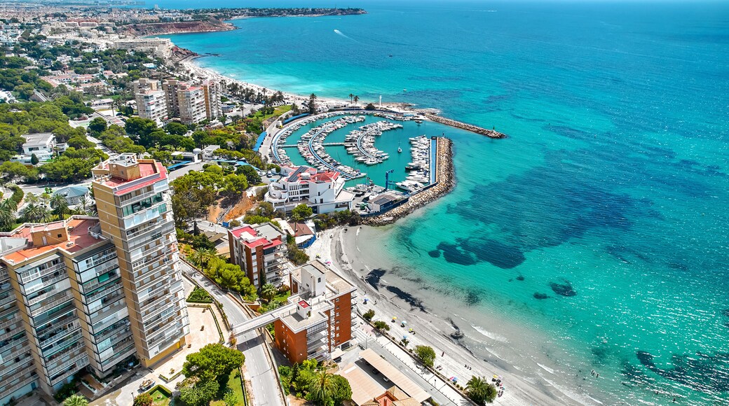 Aerial shot Dehesa de Campoamor, village in Orihuela Costa. Residential area with houses, surrounded by greenery, apartment buildings near coastline, sandy beach, Mediterranean Sea view. Spain