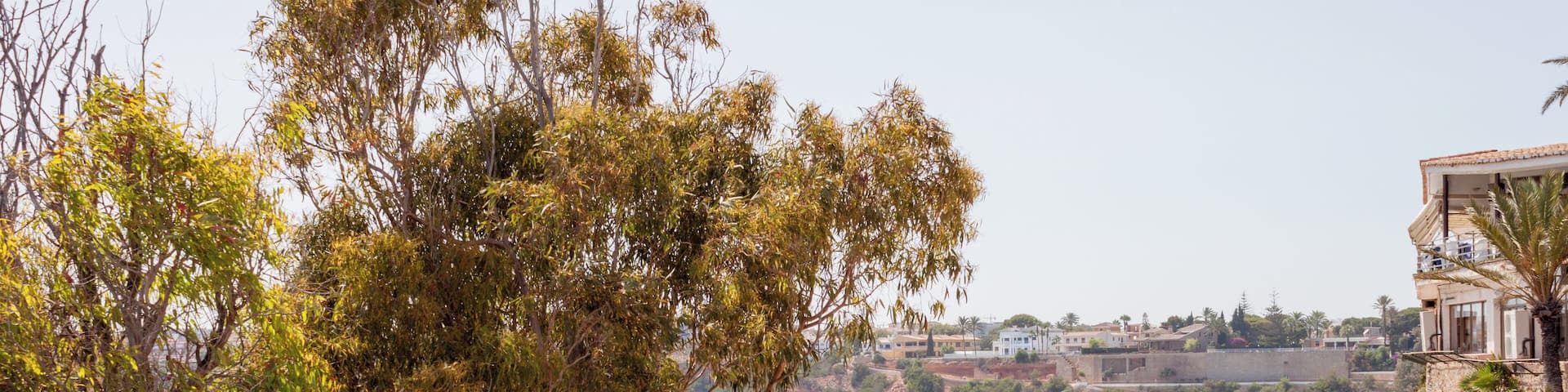 Harbour of Cabo Roig. Orihuela Spain