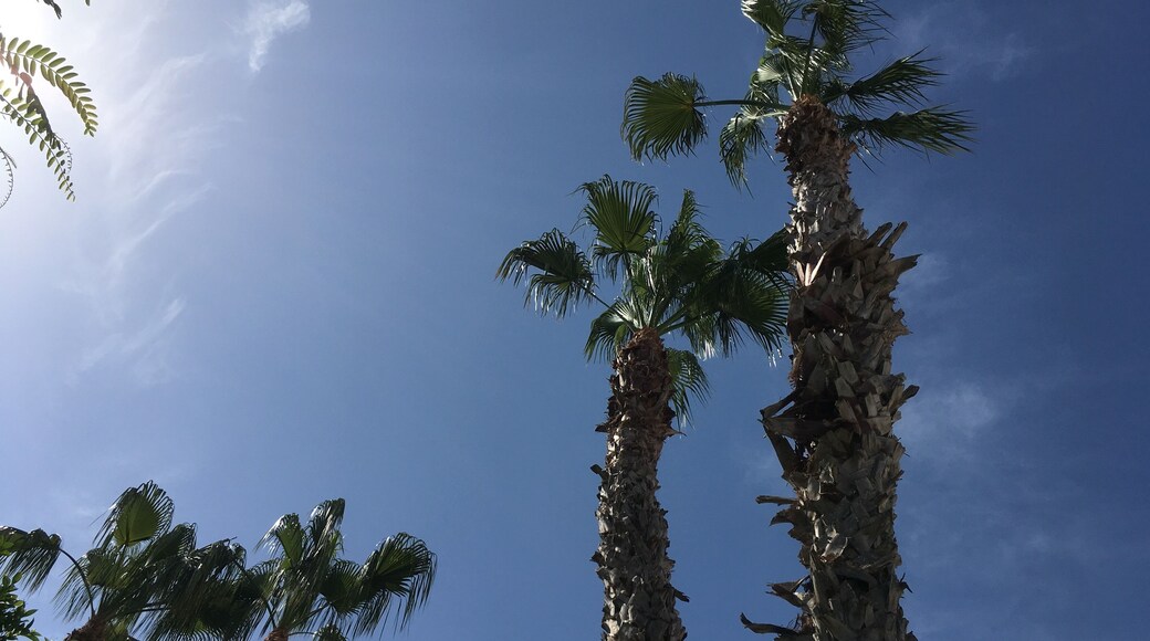 Beautiful Spanish sun ☀️