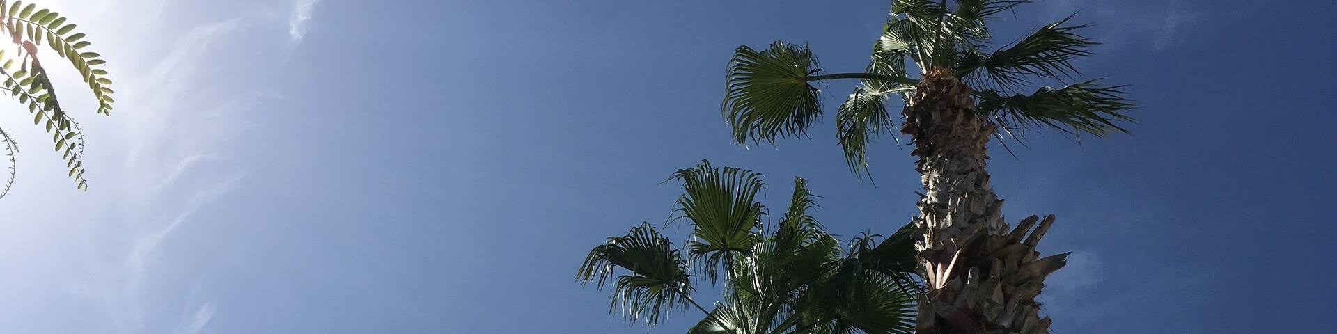 Beautiful Spanish sun ☀️