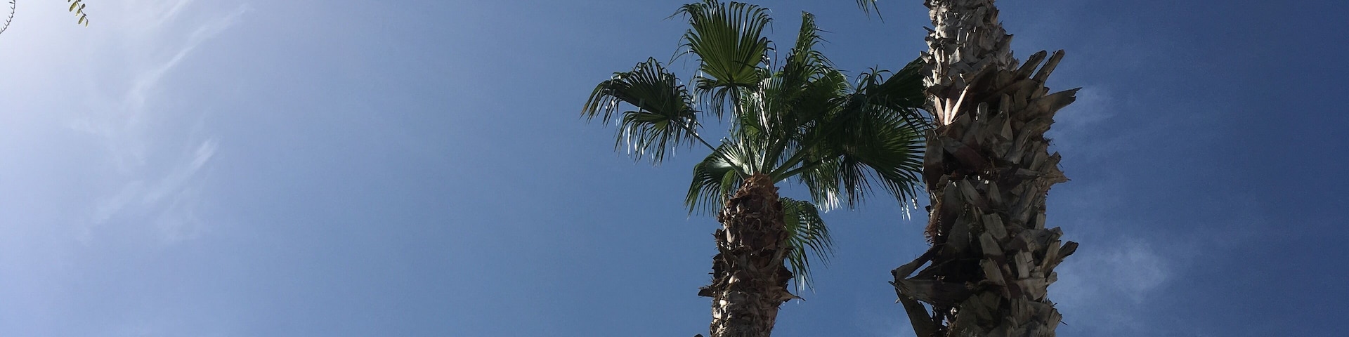 Beautiful Spanish sun ☀️