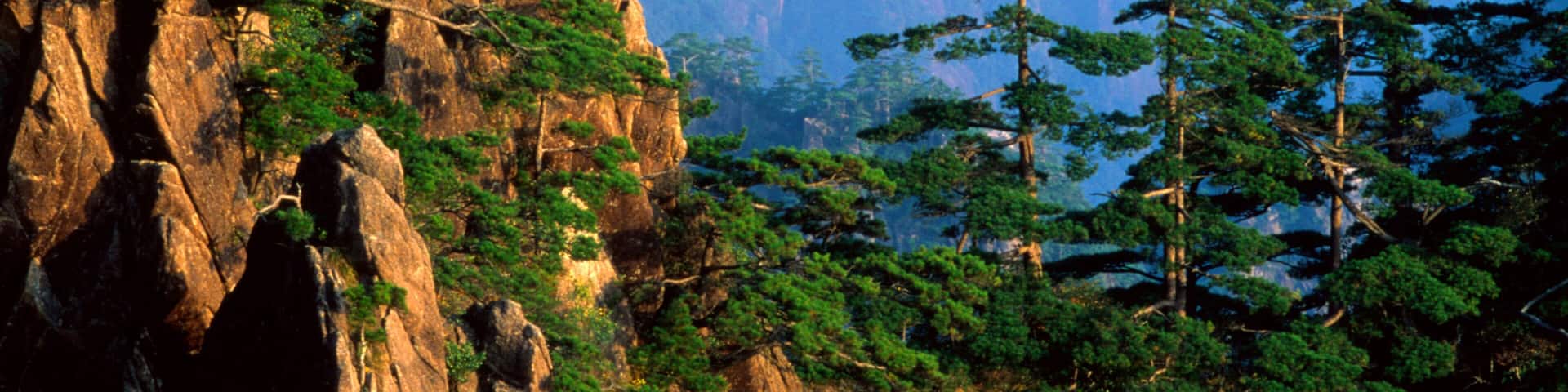 Yellow Mountain in Anhui, China