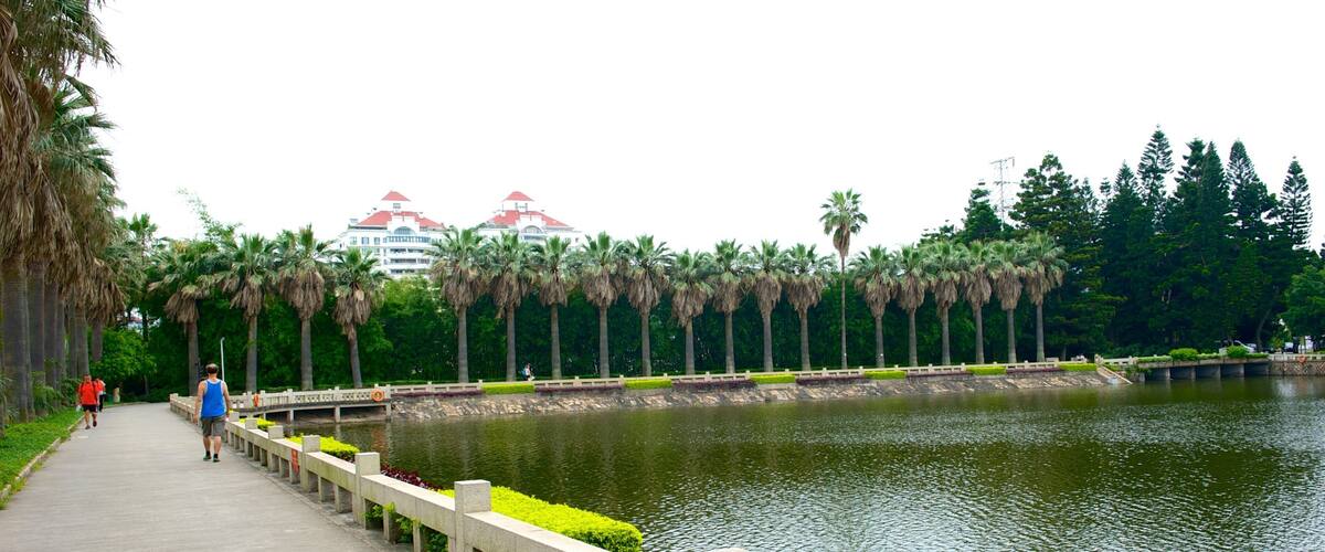 A riverside walkway lined with palm trees and a concrete barrier.