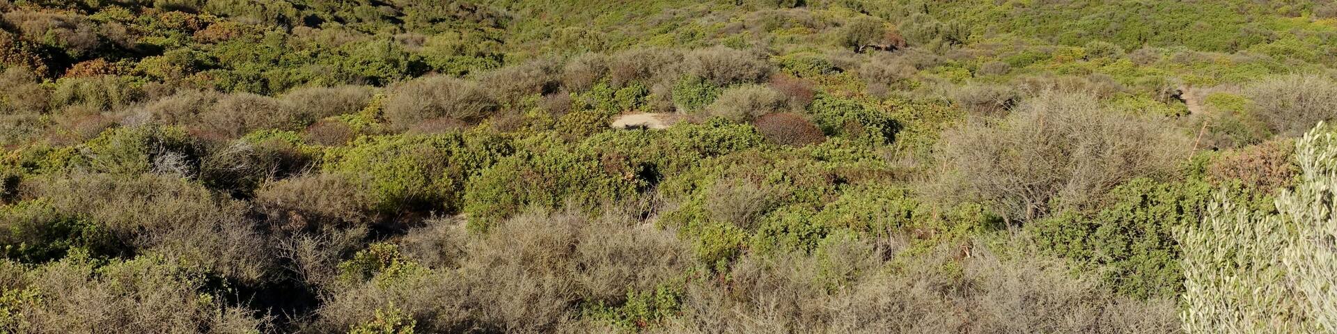 Strand von Portu de s’Illixi, Gemeinde Muravera, Sardinien, Italien