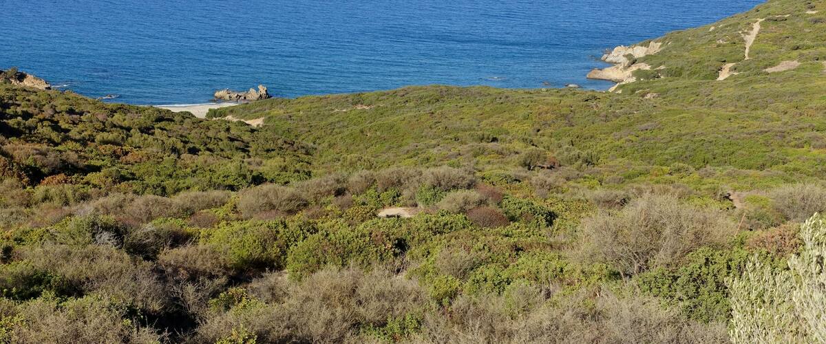 A coastal landscape with a clear view of the sea, green hills, and a few scattered rocks.
