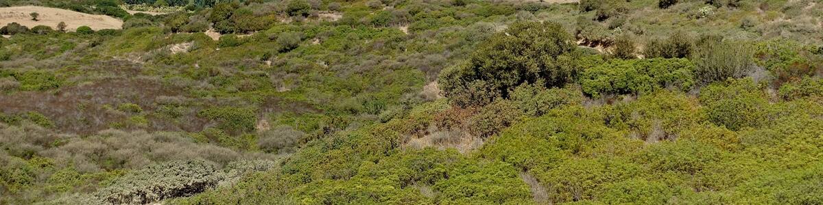 Teich von Feraxi, Gemeinde Muravera, Sardinien, Italien