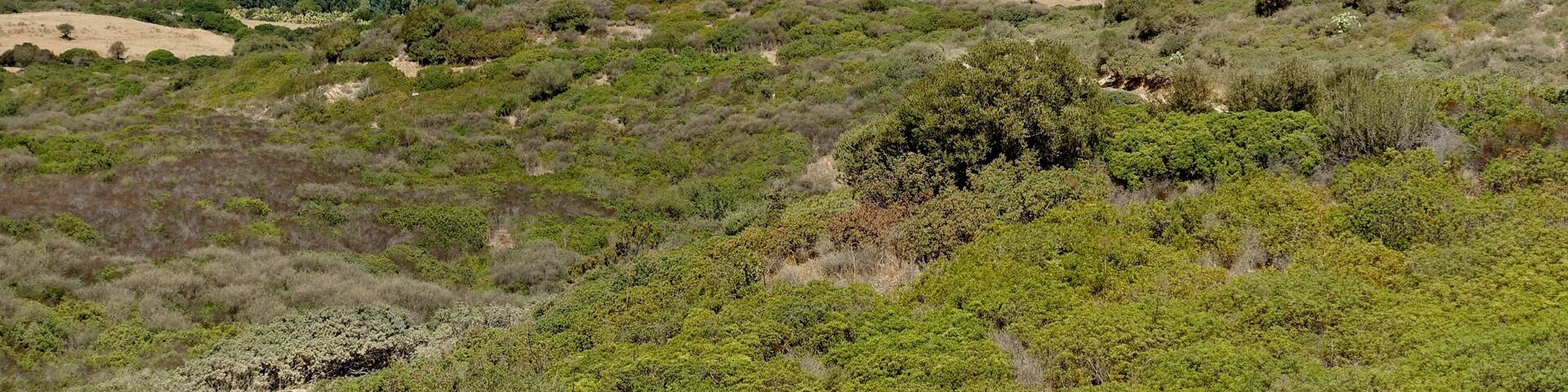 Teich von Feraxi, Gemeinde Muravera, Sardinien, Italien