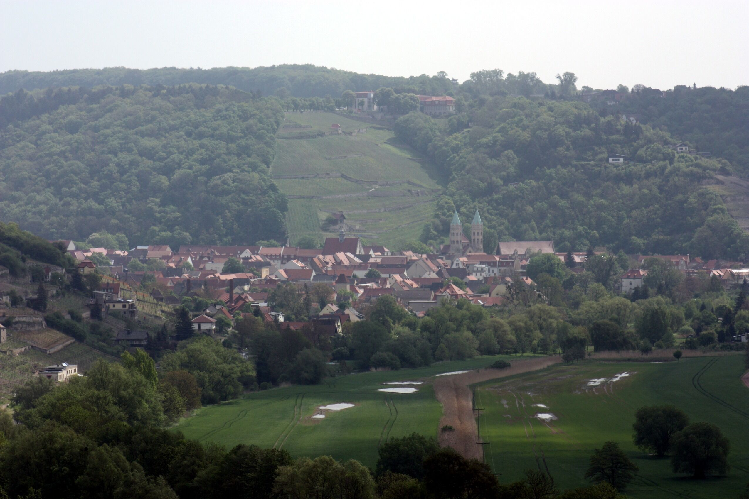 View from Zscheiplitz to the city of Freyburg