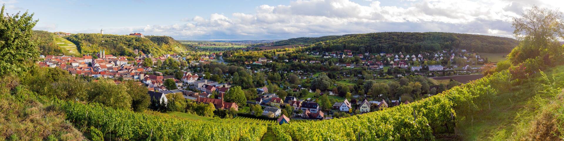 A town nestled in a valley with vineyards, a church, and rolling hills in the background.